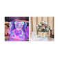 💕Speciale Anniversario - 50% DI SCONTO 🎁 Orsetto Luminoso Colorato