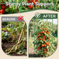 Vasche da Giardino Elevate con Trellis