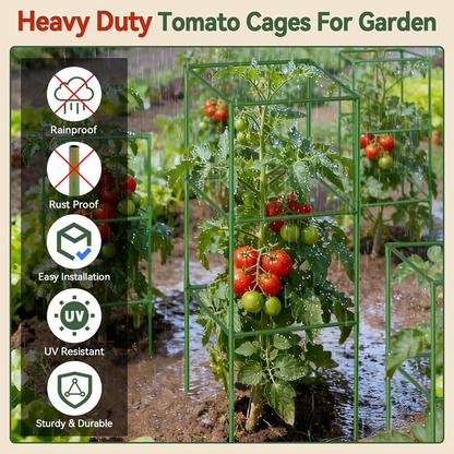 Vasche da Giardino Elevate con Trellis