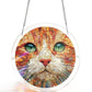 🔥ULTIMO GIORNO: SCONTO 50% ☀️🛍️Acrylic Jigsaw Puzzle Suncatcher 80 Pezzi