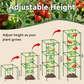 Vasche da Giardino Elevate con Trellis