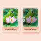 Focus Free 8x20 Mini-Fernglas für Erwachsene Kinder