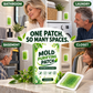 🧪 SCONTO DEL 50% ORA! Patch Antimuffa da 6 Pezzi – Formula Botanica, Protezione Duratura contro la Muffa per Bagno, Cucina, Angoli delle Pareti e Zone Umide Nascoste